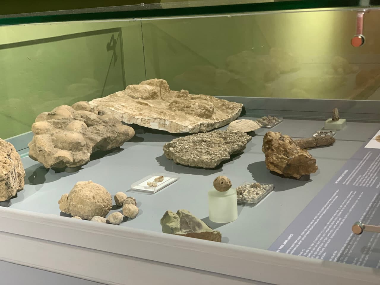gallery image 65