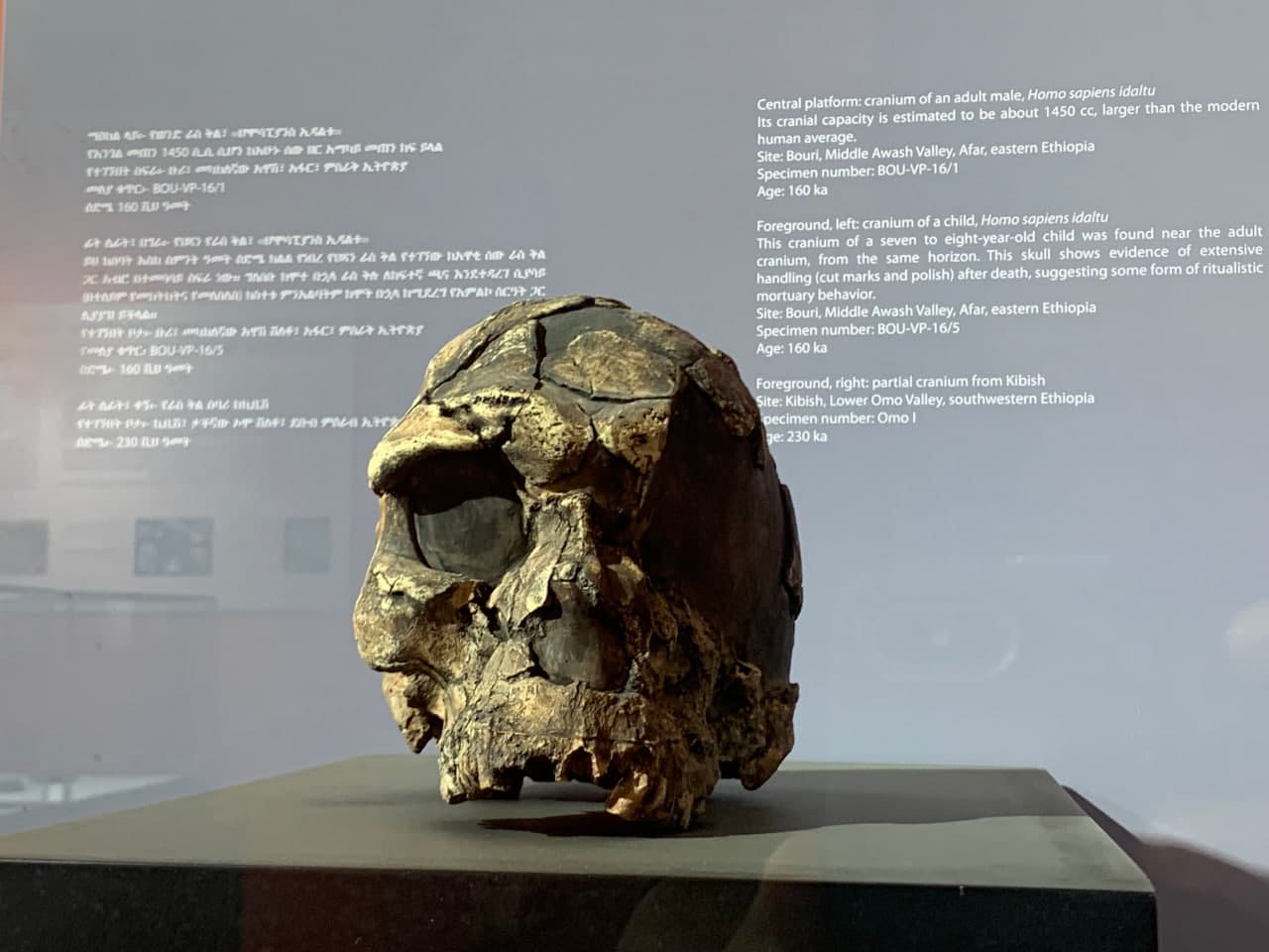 gallery image 67