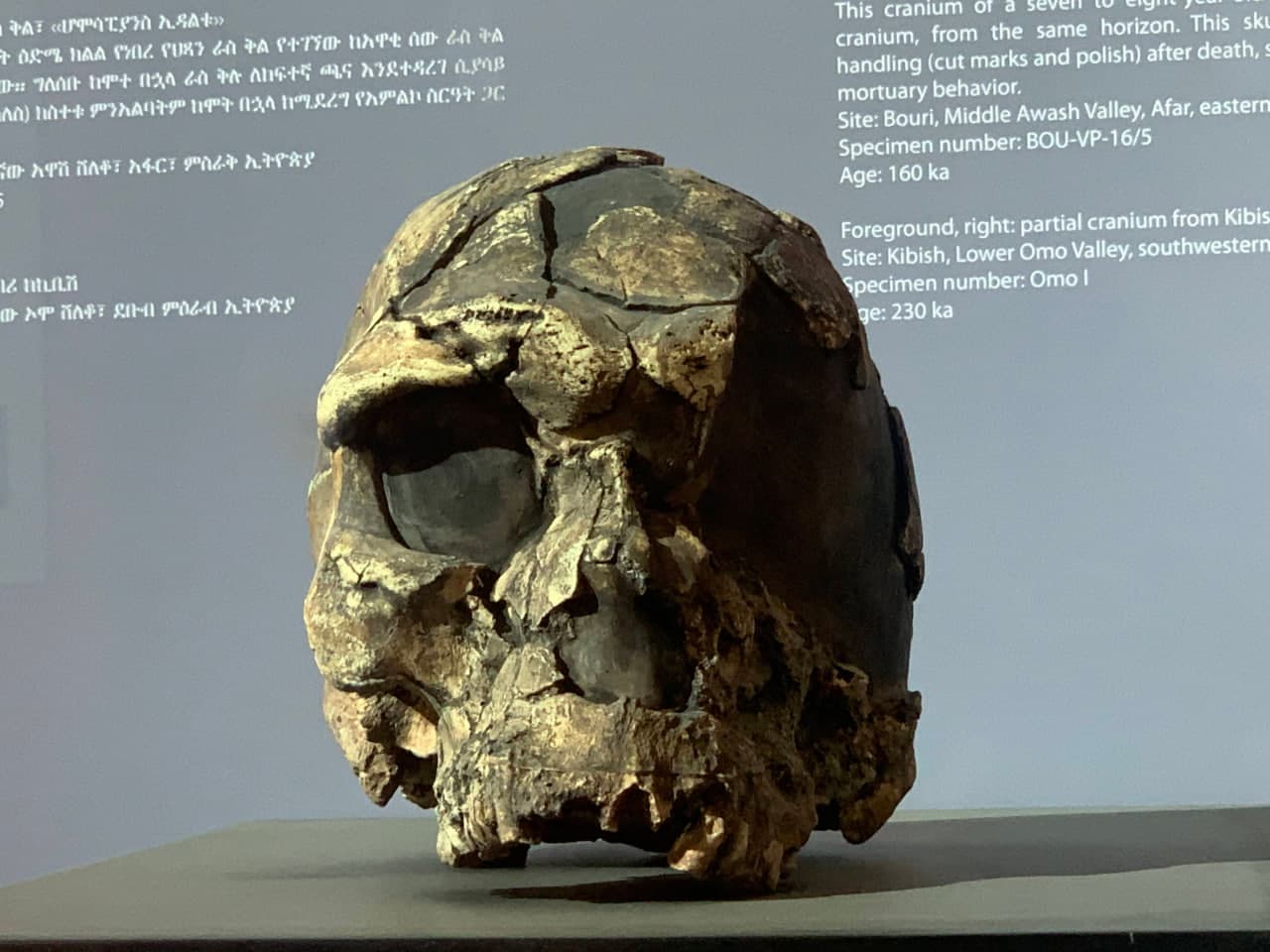 gallery image 68