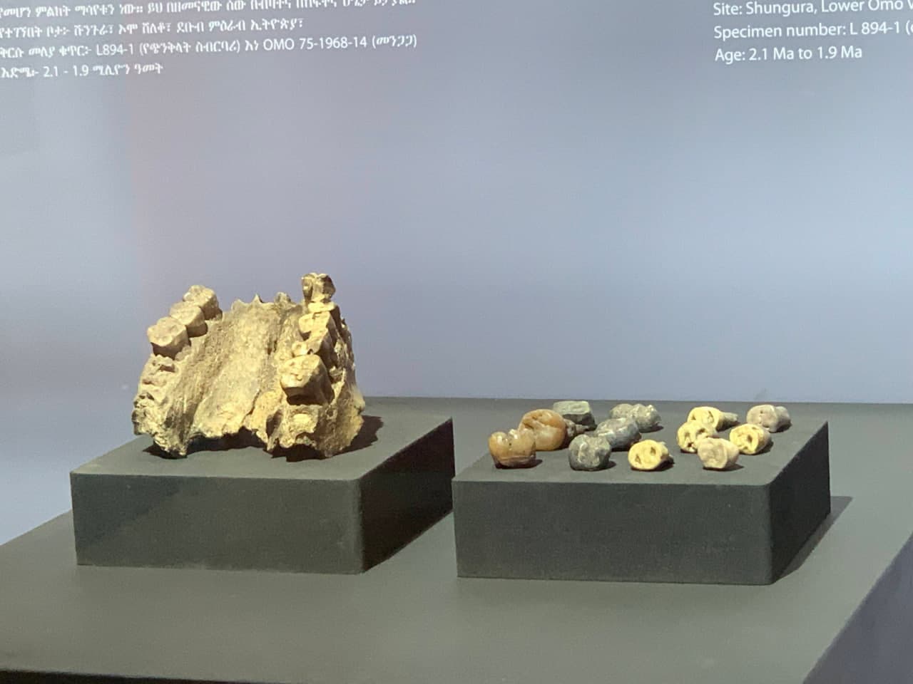 gallery image 69