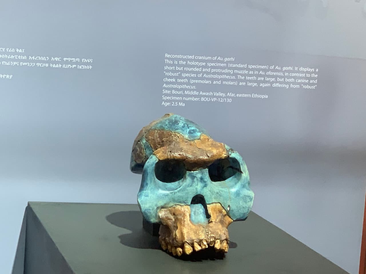 gallery image 70