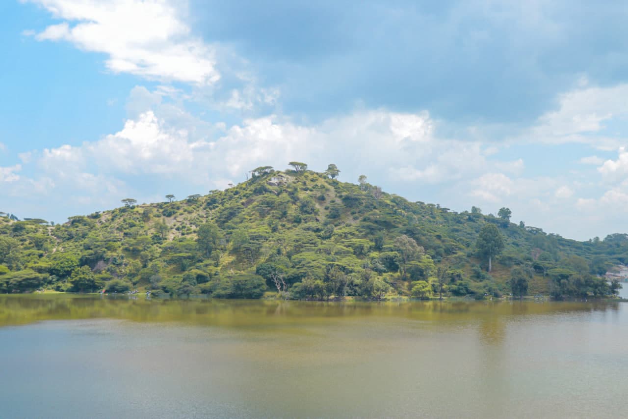 Felipe Pelaquim Image